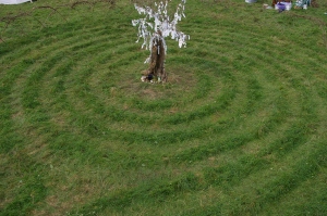 Grass footprint of festival labyrinth with central wishing tree
